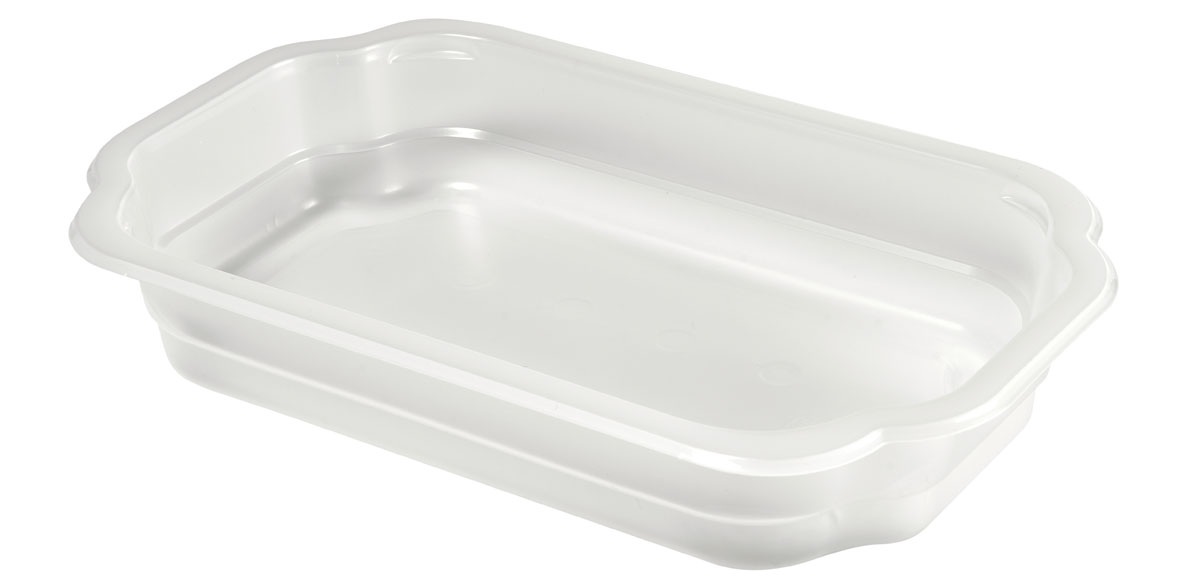 Kunststoff Schale Take-AwayPlus 250×159×43 mm Transparent ungeteilt