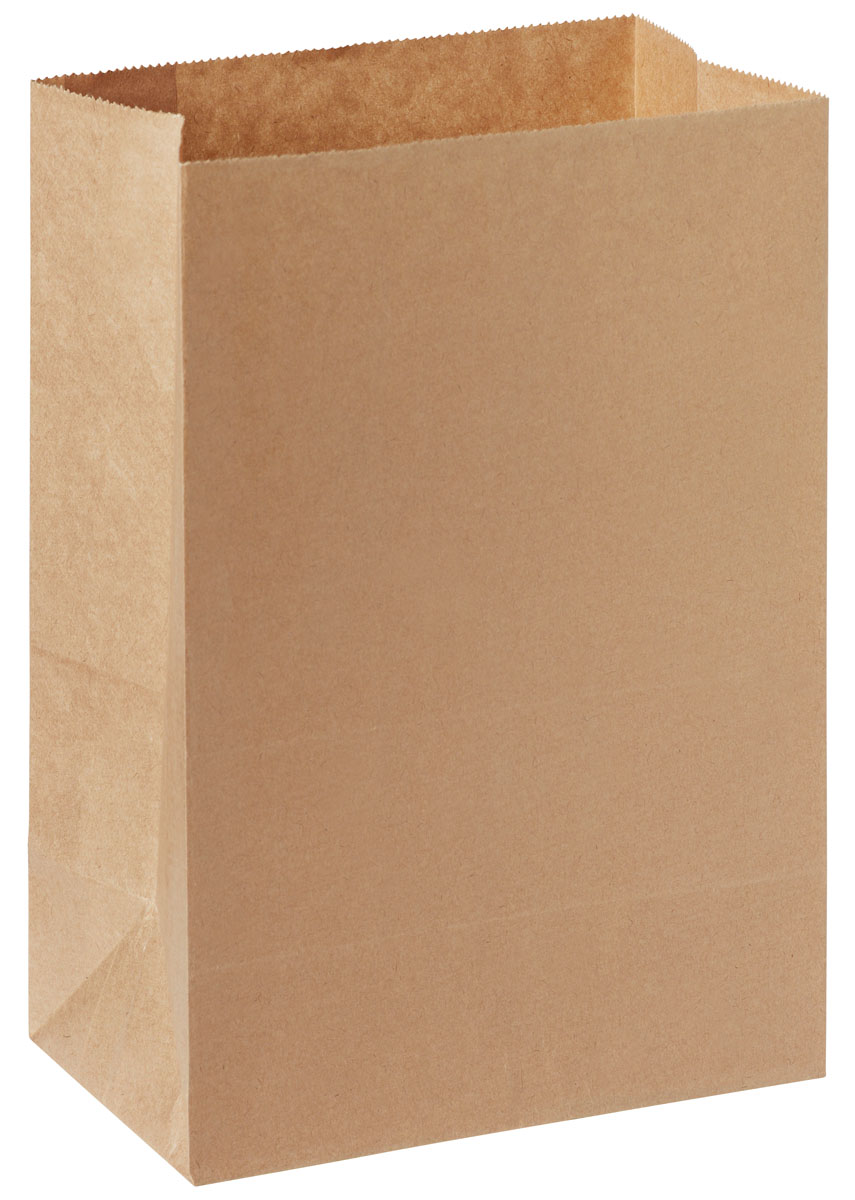 Papiertüte 5 l Braun (18 x 11 x 26,5 cm)